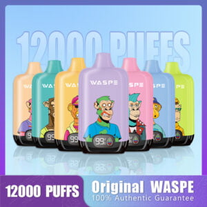 WASPE 12000 PUFFS Digital Box 0% 2% 3% 5% Nicotine Disposable Vape Wholesale