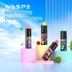 WASPE 8000 PUFFS 0% 2% 3% 5% Nicotine Disposable Vape Wholesale